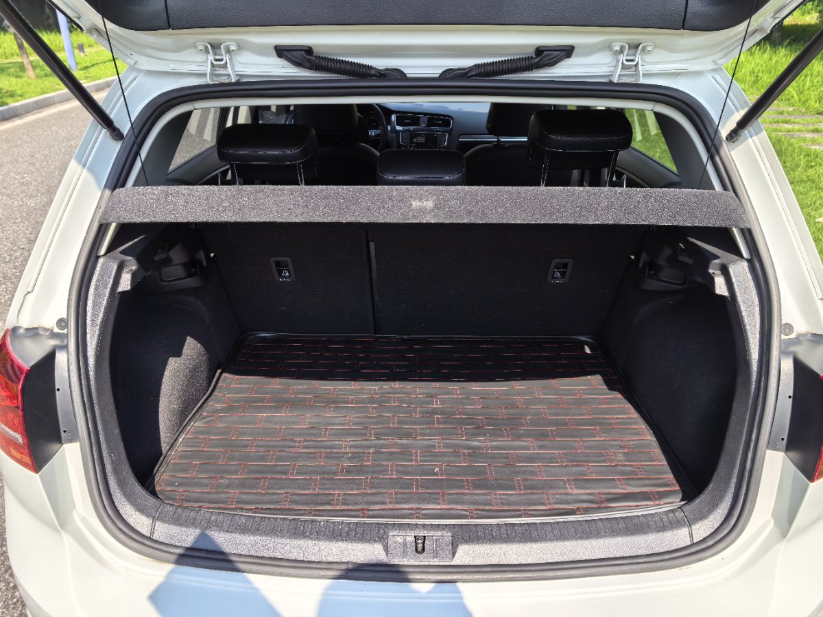 Volkswagen Golf 2017 car image #14