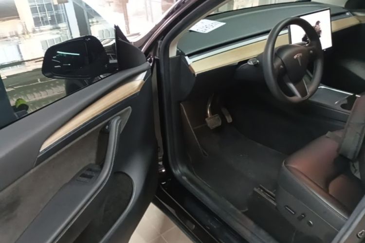 Tesla Model Y 2022 car image #12