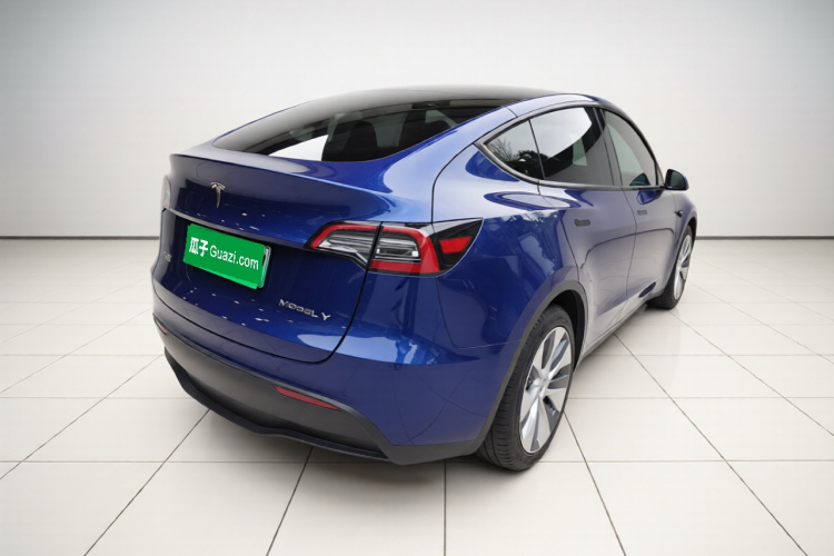 Tesla Model Y 2021 car image #7