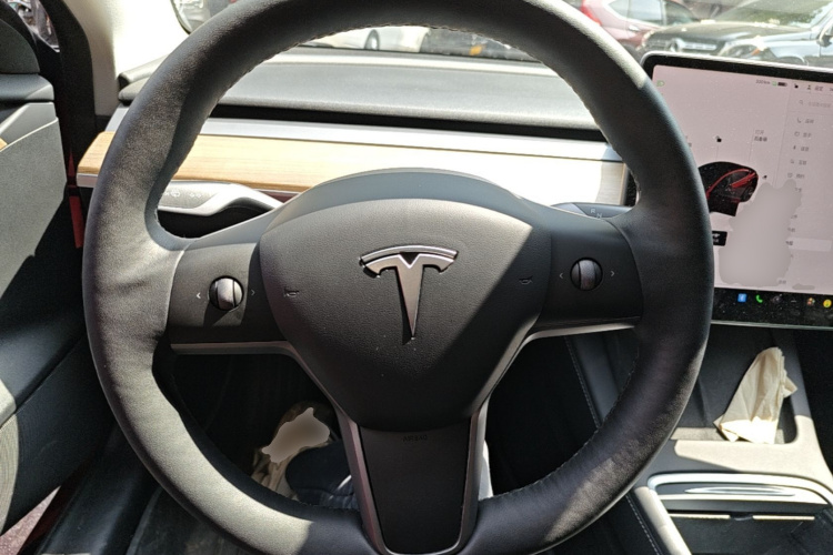 Tesla Model 3 2022 immagine di auto #11