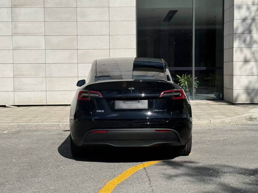 Tesla Model Y 2021 car image #10