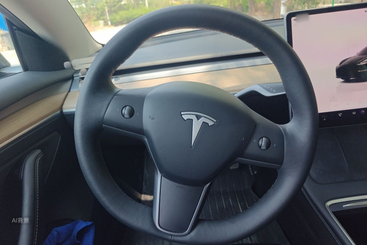 Tesla Model 3 2023 #12 Tesla Model 3 2023 car image #12
