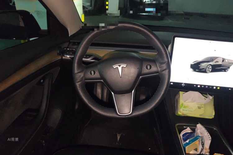 Tesla Model 3 2022 car image #12