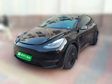 Tesla Model Y 2021 Tesla Model Y 2021 car image