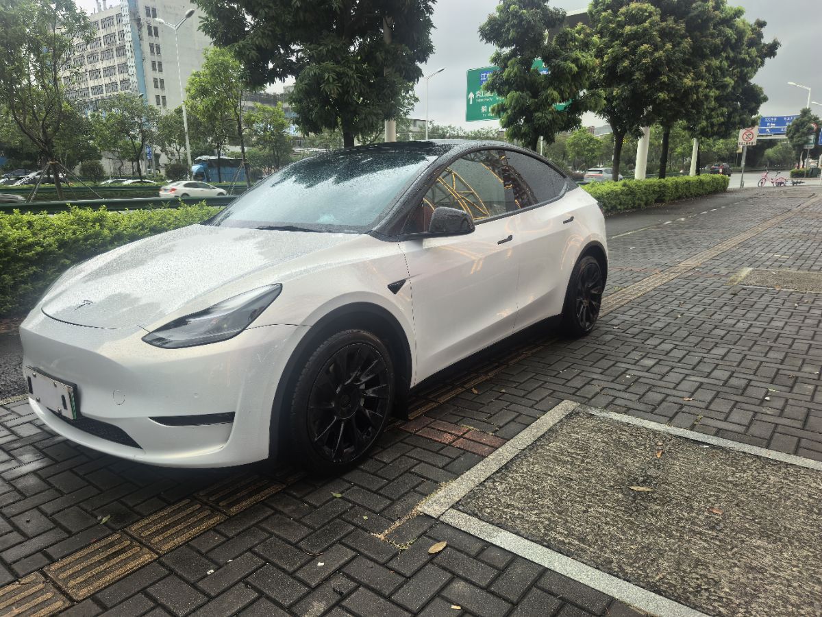 Tesla Model Y 2021 car image 