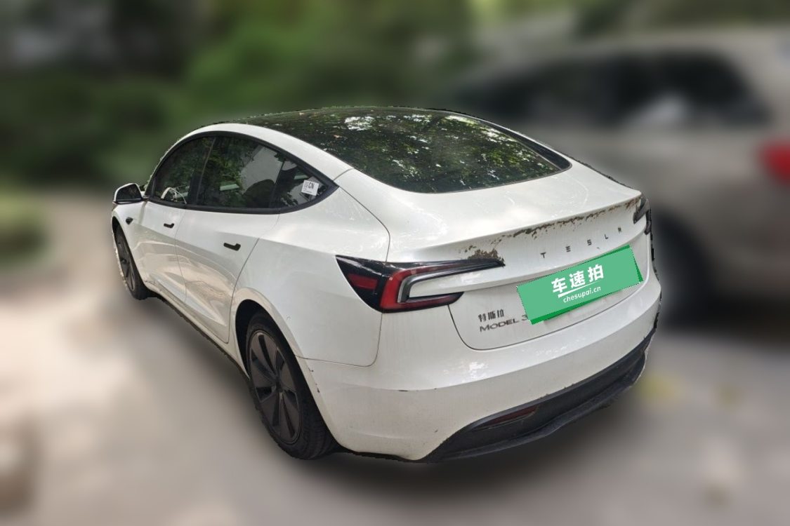 Tesla Model 3 2023 #3 Tesla Model 3 2023 car image #3