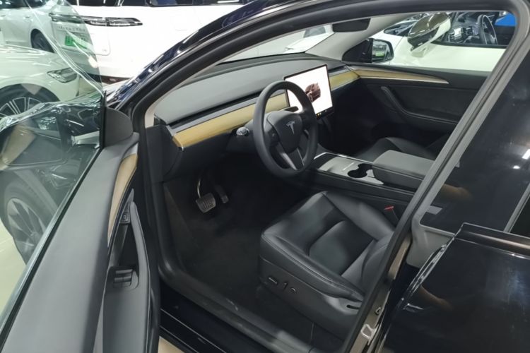 Tesla Model Y 2023 car image #12