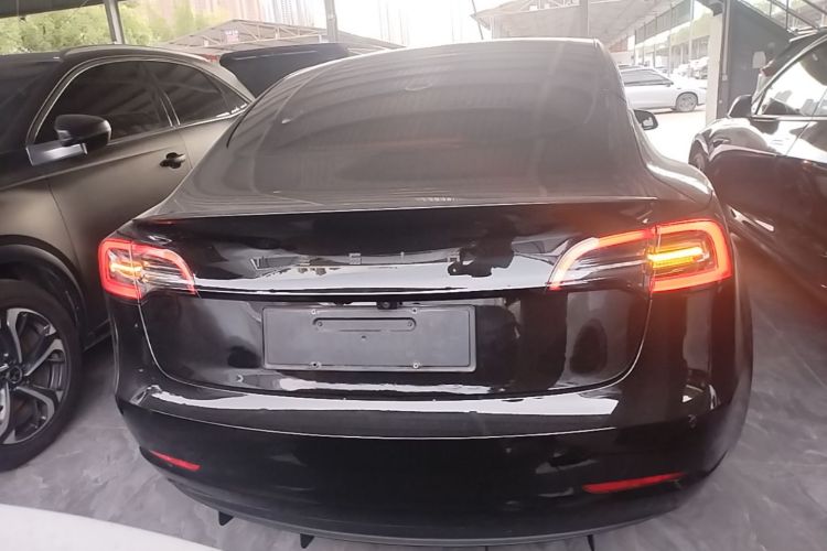 Tesla Model 3 2022 car image #6