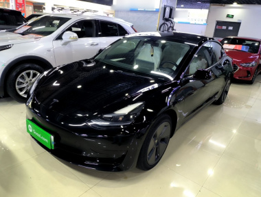 Tesla Model 3 2023 Tesla Model 3 2023 car image