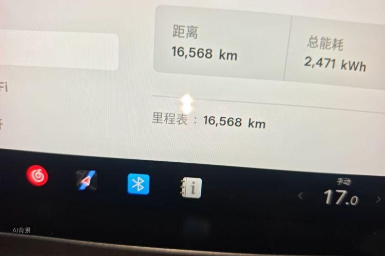 Tesla Model Y 2024 car image #14