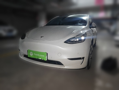 Tesla Model Y 2021 Tesla Model Y 2021 car image