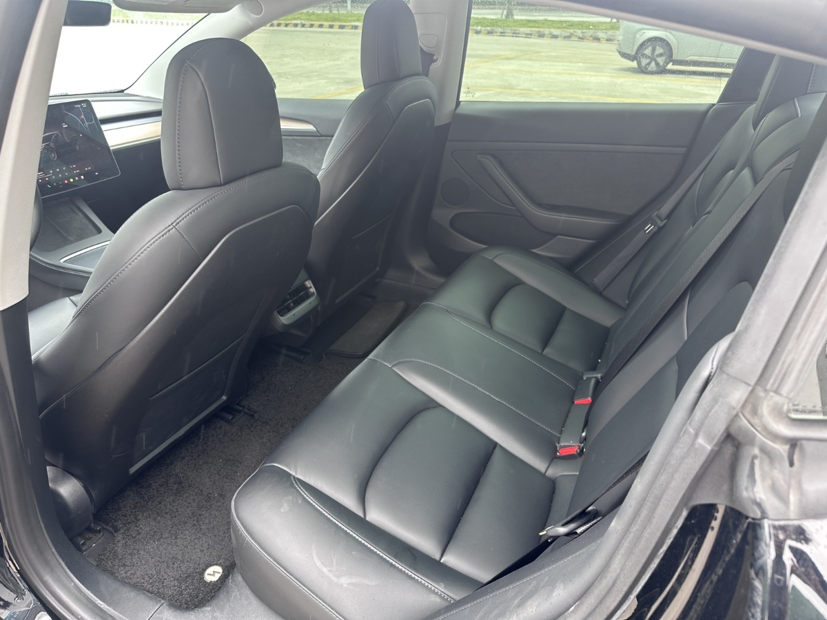 Tesla Model 3 2021 car image #4