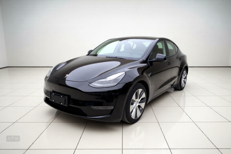 Tesla Model Y 2021 car image #2