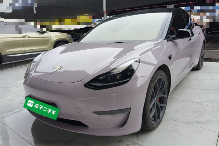 Tesla Model 3 2021 imagem de carro #2