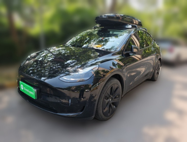 Tesla Model Y 2022 Tesla Model Y 2022 car image