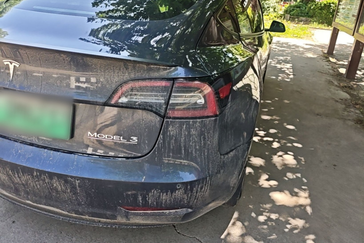Tesla Model 3 2021 #8 Tesla Model 3 2021 car image #8