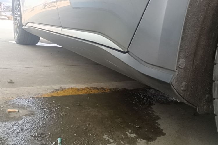 比亚迪 汉 2022 汽车图片 #27