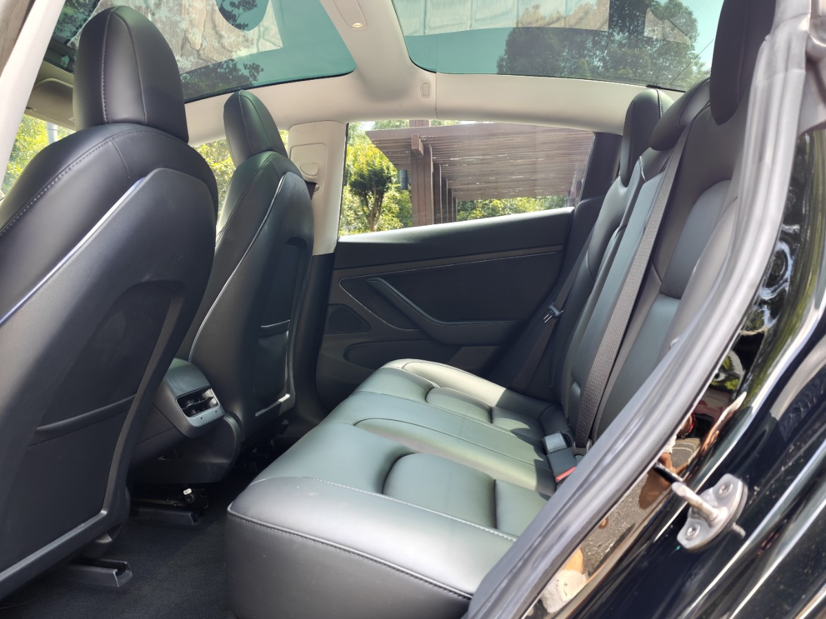 Tesla Model 3 2020 #6 Tesla Model 3 2020 car image #6