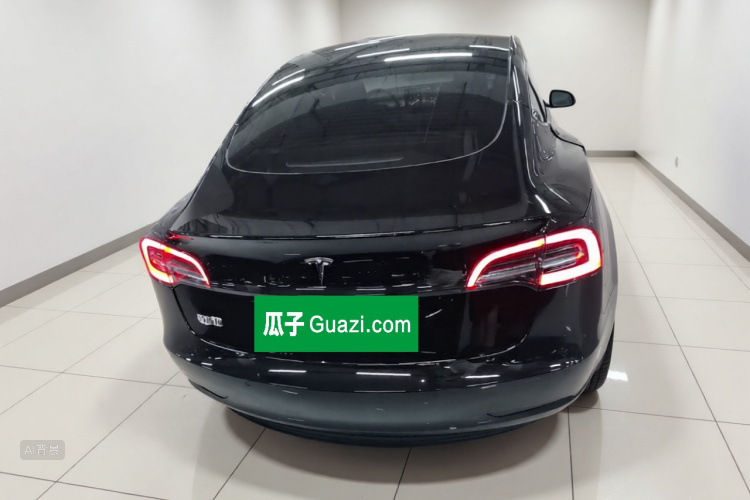 Tesla Model 3 2023 car image #6