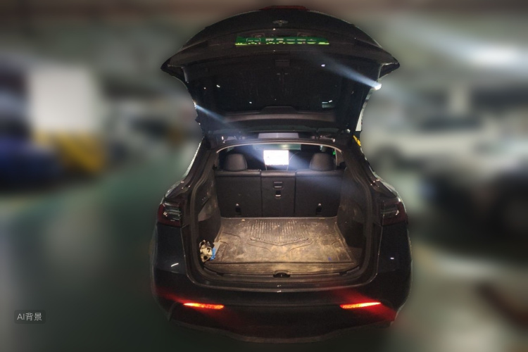 Tesla Model Y 2021 car image #21
