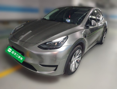 Tesla Model Y 2023 car image 