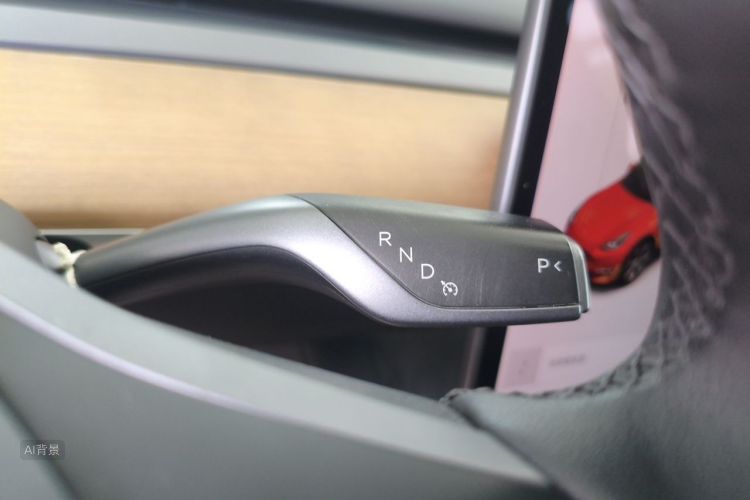 Tesla Model Y 2021 car image #16