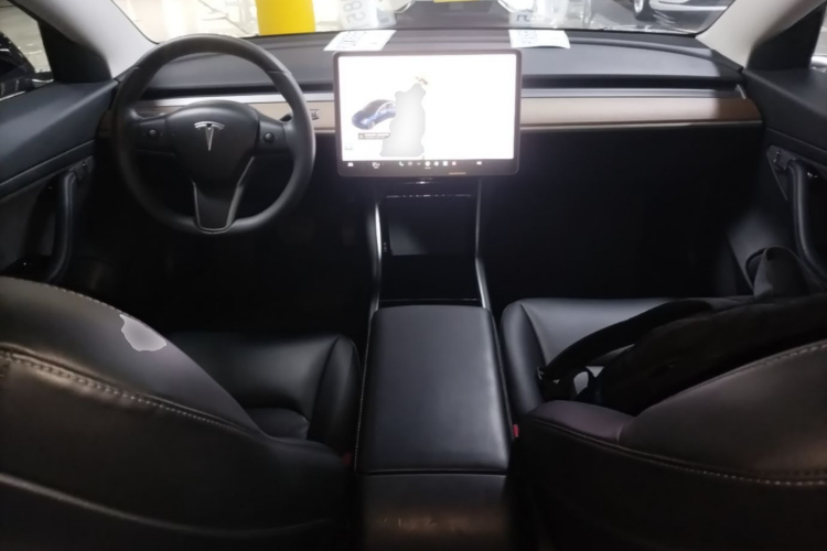 Tesla Model 3 2020 car image #10