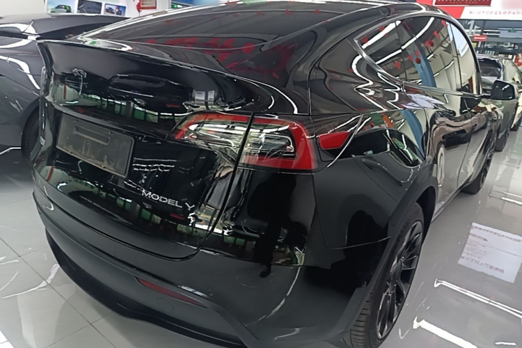 Tesla Model Y 2021 immagine di auto #7