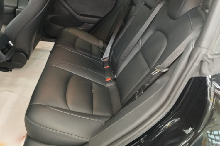 Tesla Model 3 2022 car image #17