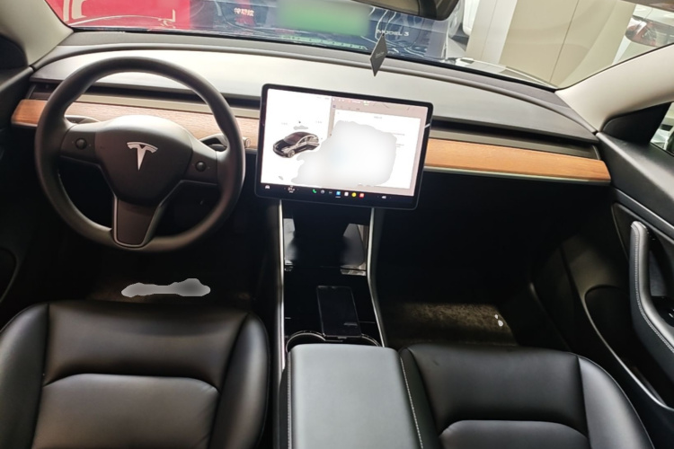 Tesla Model 3 2020 car image #10
