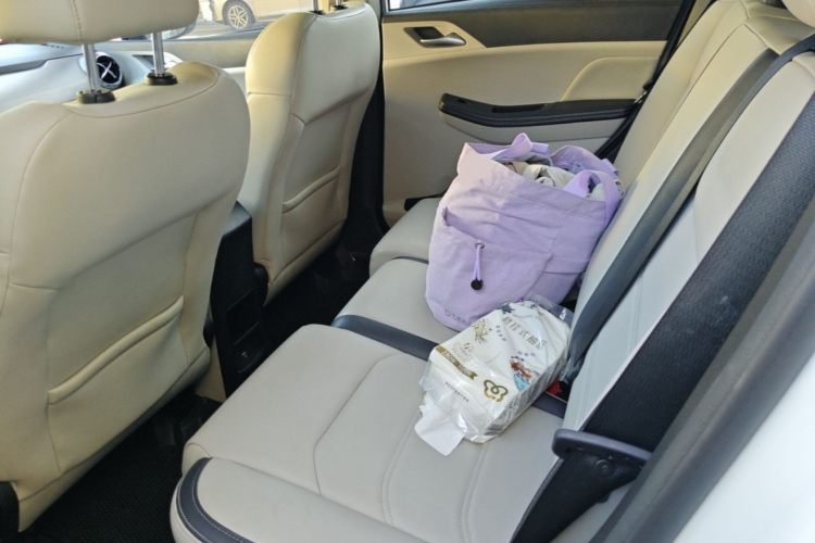 BYD Yuan Pro 2021 car image #17