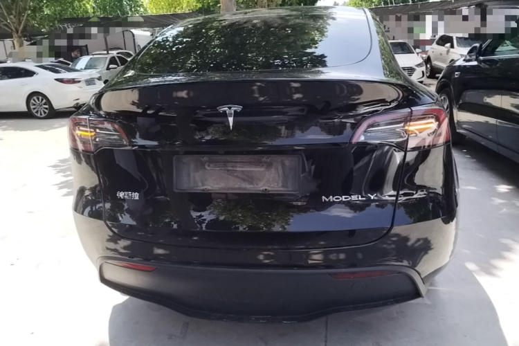 Tesla Model Y 2022 car image #6