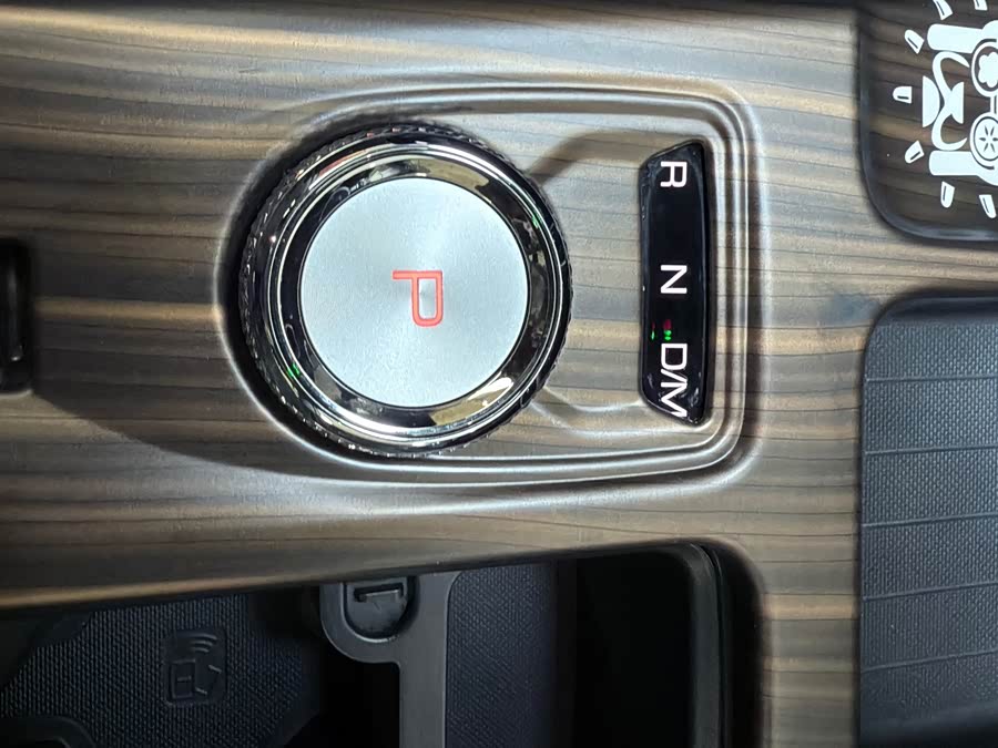 Haval X Dog / Dargo 2024 immagine di auto #41