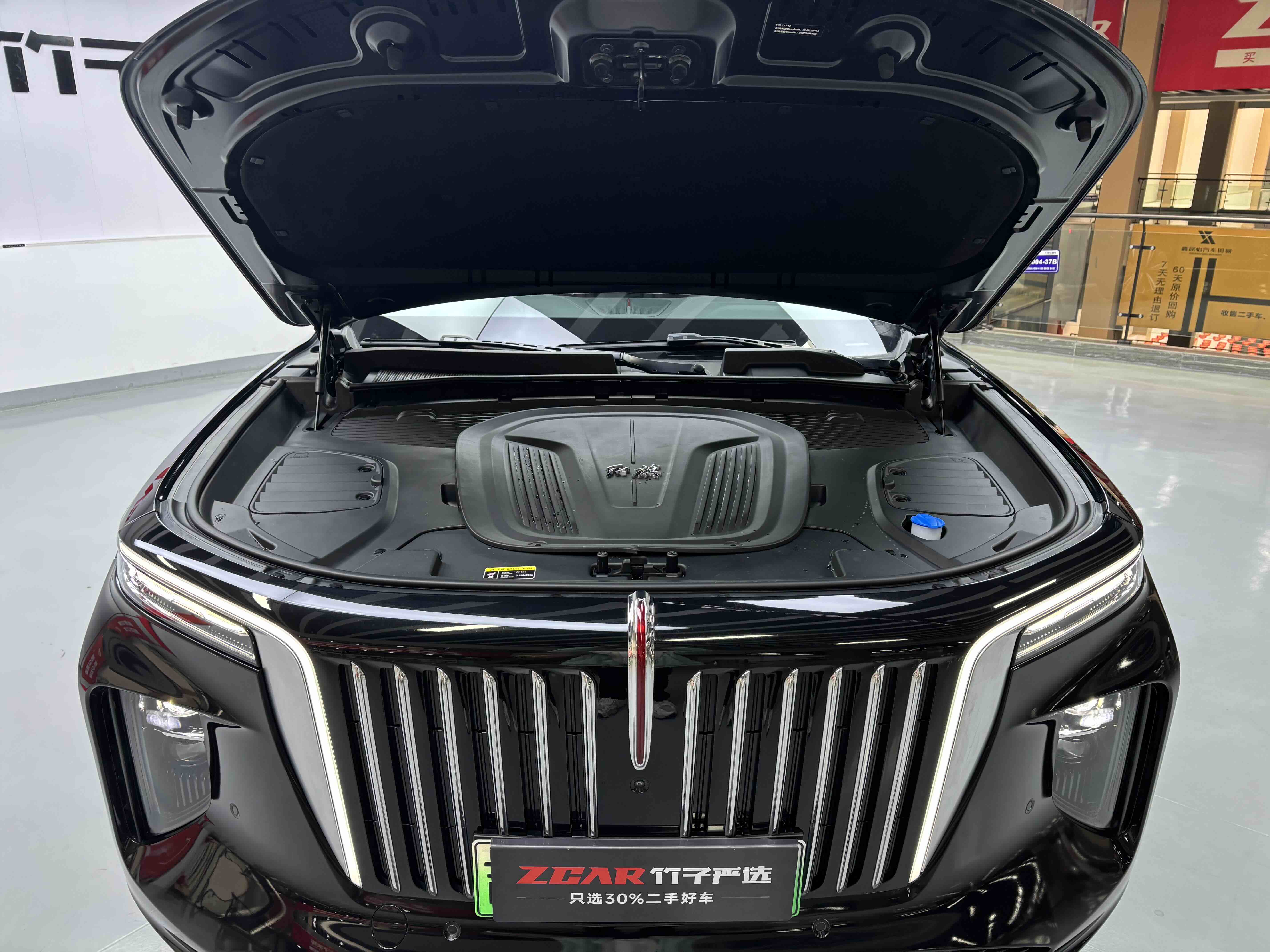 HongQi E-HS9 2023 imagem de carro #41