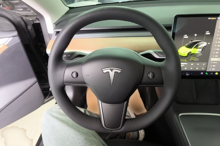 Tesla Model 3 2023 car image #11