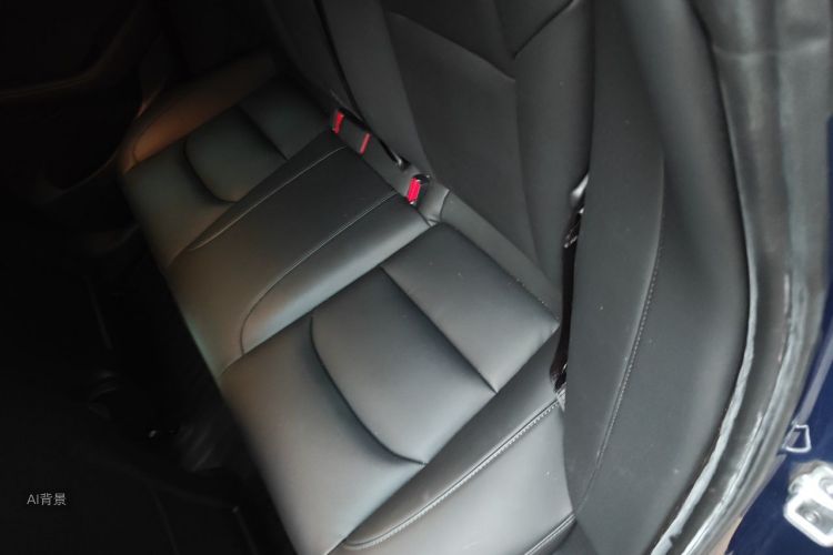Tesla Model 3 2020 car image #19