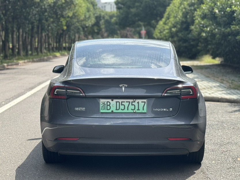 Tesla Model 3 2020 #8 Tesla Model 3 2020 car image #8