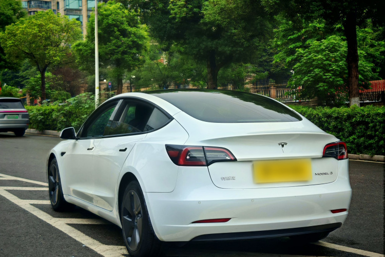 Tesla Model 3 2021 #7 Tesla Model 3 2021 car image #7