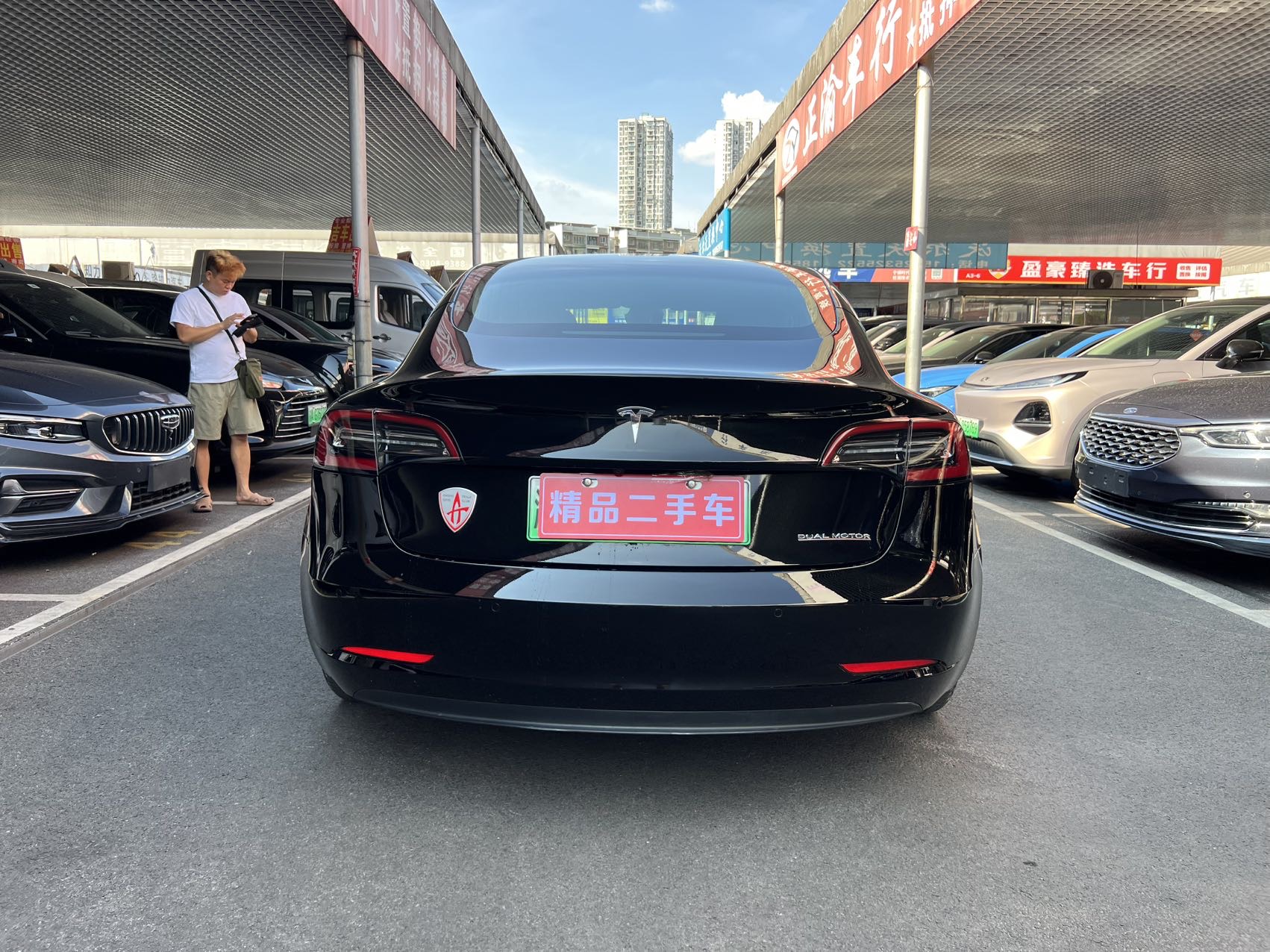 Tesla Model 3 (Imported) 2019 car image #15