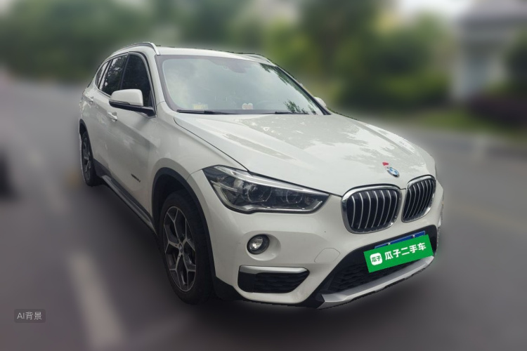 BMW X1 2017 car image #4