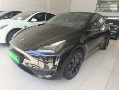Tesla Model Y 2022 Tesla Model Y 2022 car image