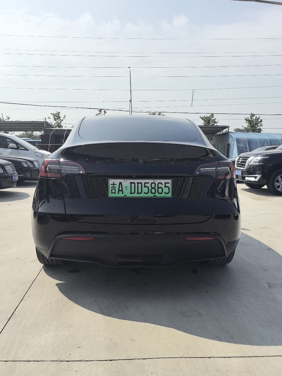 Tesla Model Y 2021 car image #8