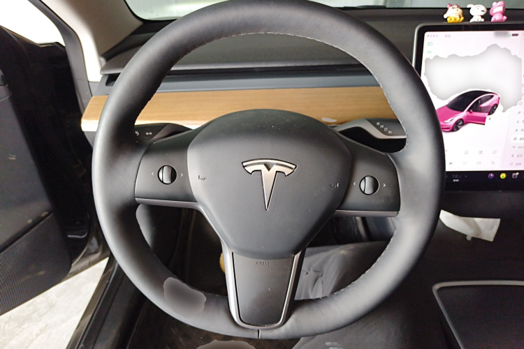 Tesla Model 3 2021 car image #15