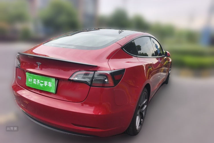Tesla Model 3 2022 car image #7