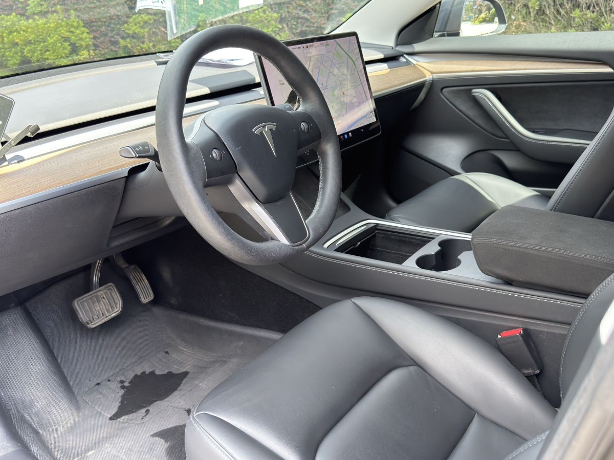 Tesla Model 3 2021 #9 Tesla Model 3 2021 car image #9