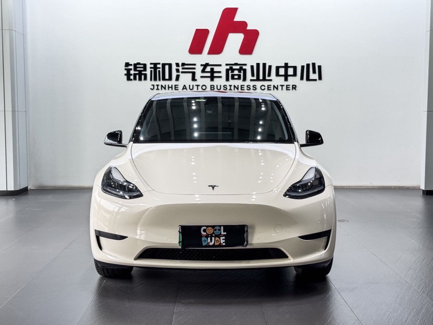 Tesla Model Y 2024 car image #2