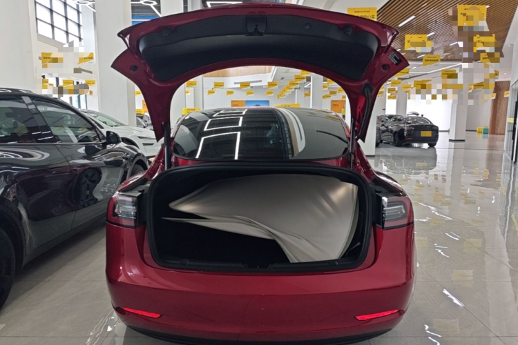 Tesla Model 3 2021 #21 Tesla Model 3 2021 car image #21