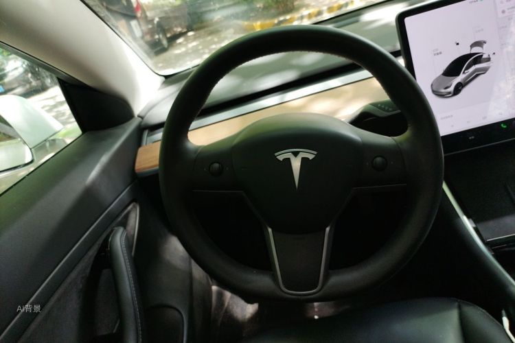 Tesla Model 3 2020 immagine di auto #12