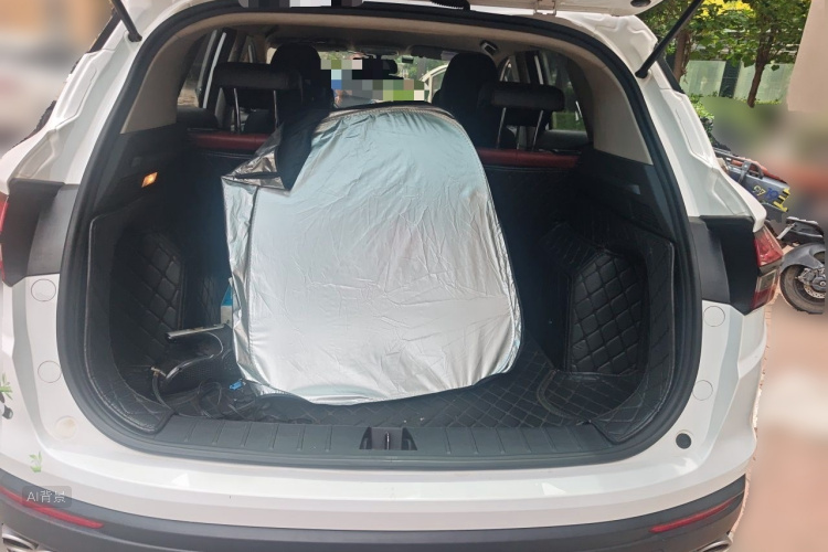 GEELY Coolray 2021 car image #21