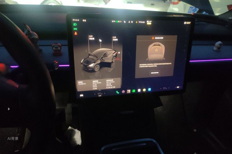 Tesla Model Y 2023 #15 Tesla Model Y 2023 car image #15